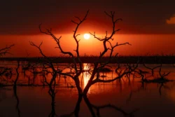paisajecolor 6 659